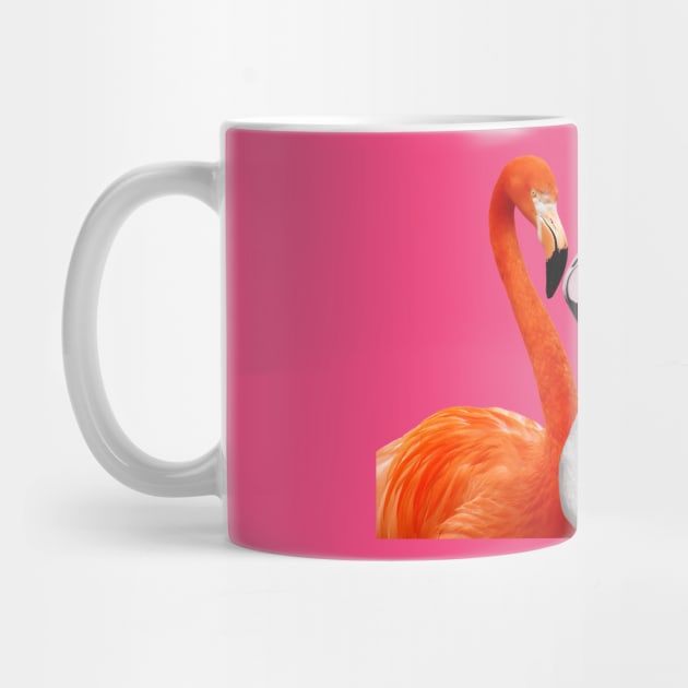 Flamingos Birds Plumage Feathers Beak Colorful by SWEIRKI